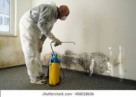 Trusted Corning, NY Mold Removal & Remediation Experts